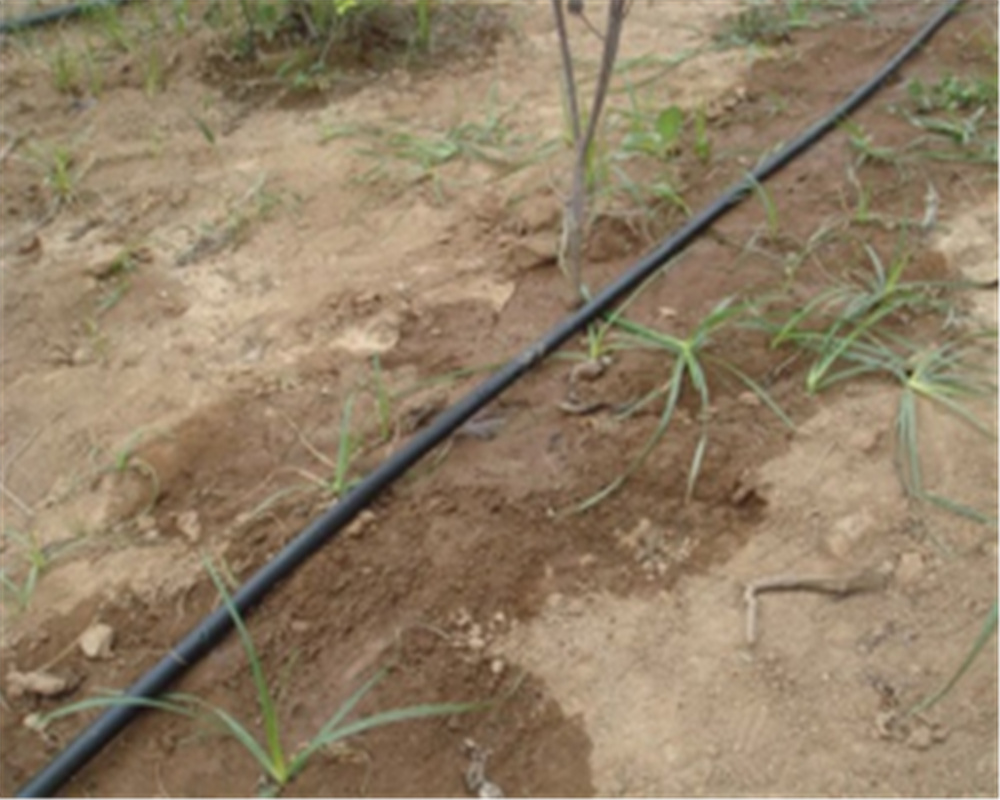 2-Double Hole Drip Irrigation Tape application