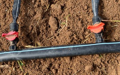 Solution of Drip Irrigation Emitter Watering Problem