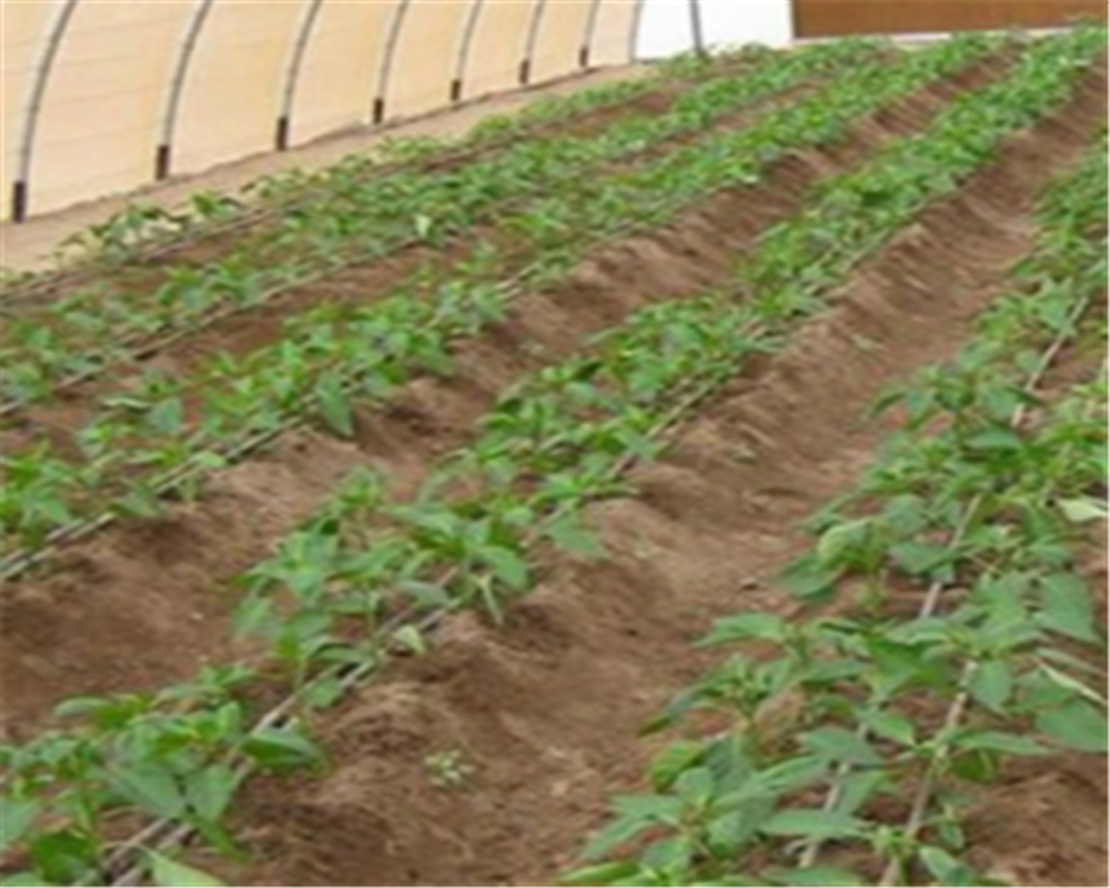 It is used to grow crops in greenhouses