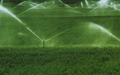 Advantages of Sprinkler Irrigation