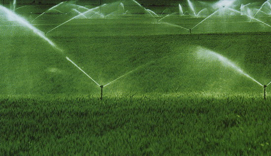 Sprinkler Irrigation