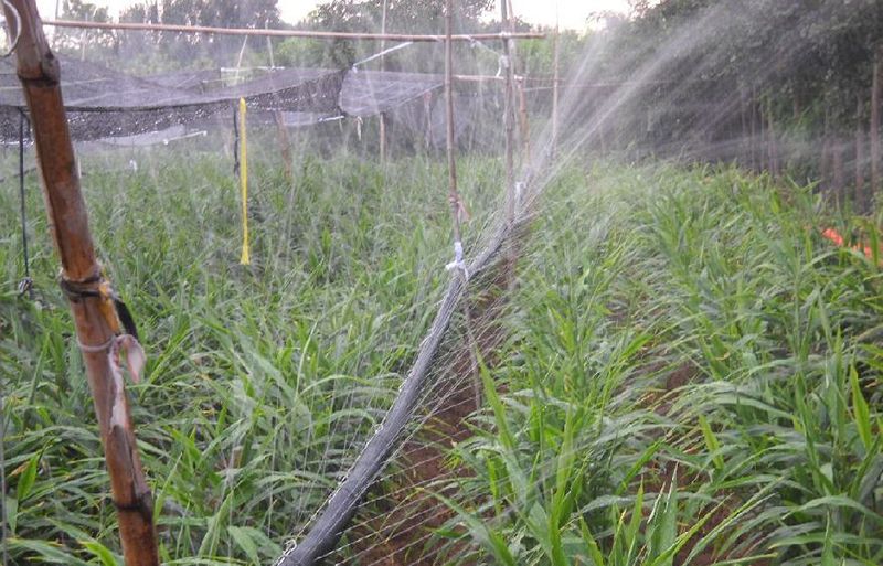 Sprinkler Irrigation Technology