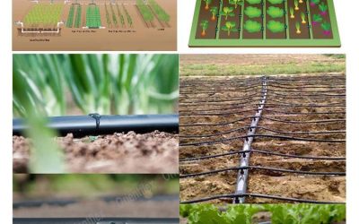 Why does drip irrigation increase crop yields