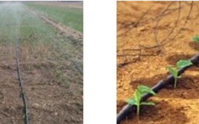 The advantages of sprinkler irrigation and drip irrigation